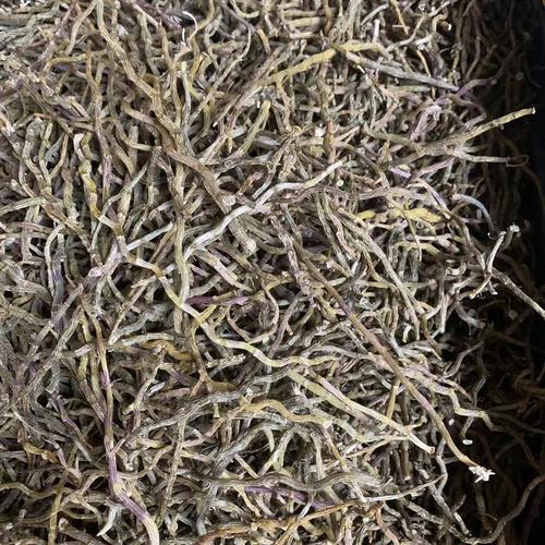 云南石斛产地探秘 自然资源与石斛种植的完美结合